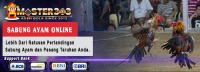 Situs Judi Agen Sabung Ayam Online Terpercaya di Indonesia Master303