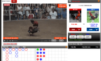 penampilan arena sabung ayam online s1288.net