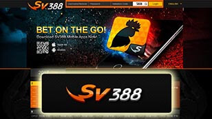 bonus 100% sabung ayam online sv388, agen sabung ayam online, situs taruhan sabung ayam online, laga ayam online, adu ayam online indonesia