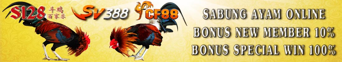 agen sabung ayam online, promo sabung ayam s1288, sv388, cf88, situs judi sabung ayam, bandar sabung ayam indonesia, ayam adu online