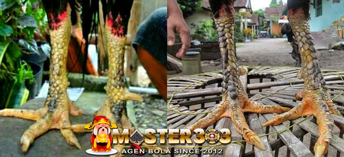 Katuranggan Sisik Katuncar Mawur