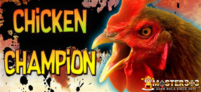 Jenis Ayam Suro Aduan